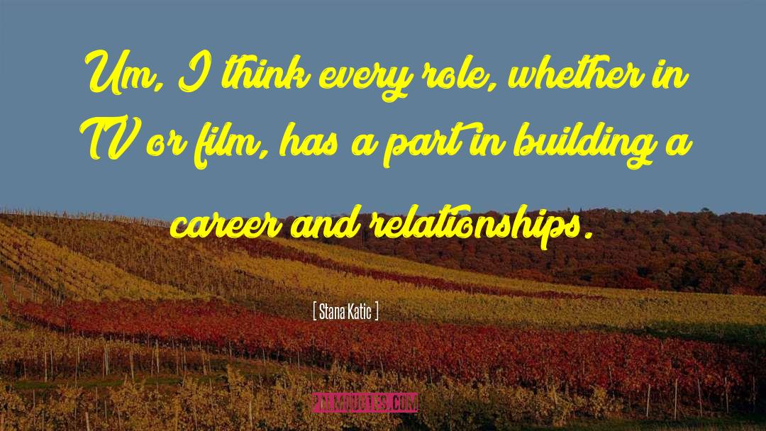 Career Building quotes by Stana Katic