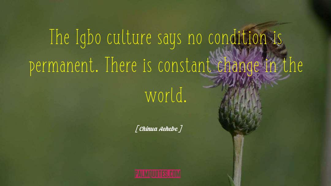 Career Change quotes by Chinua Achebe