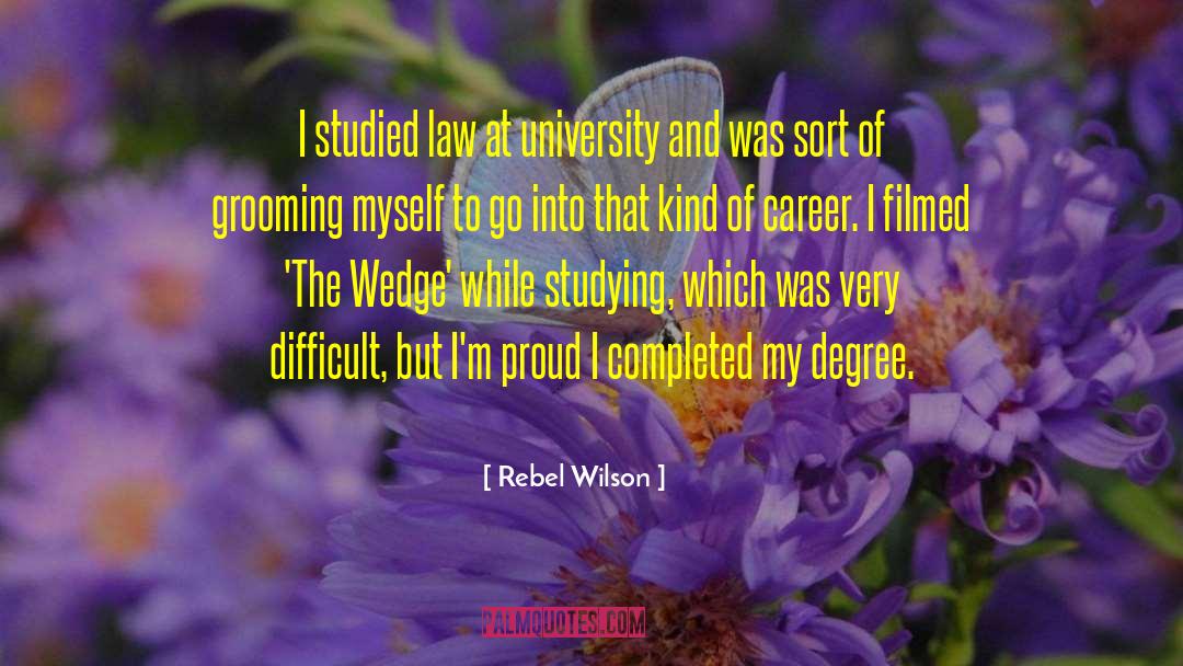 Career Decision quotes by Rebel Wilson