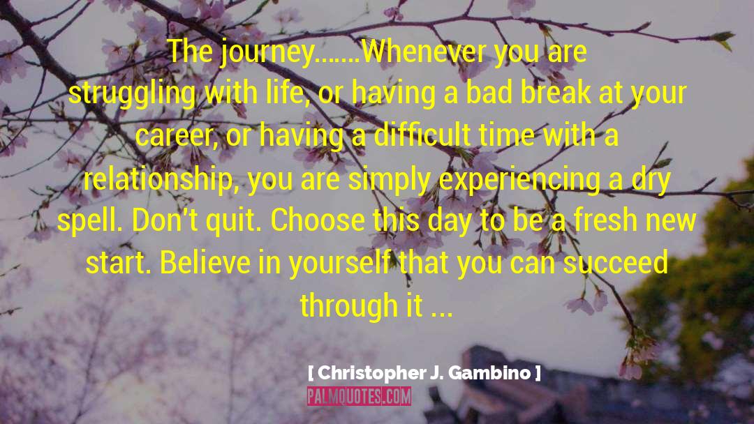 Career Decision quotes by Christopher J. Gambino