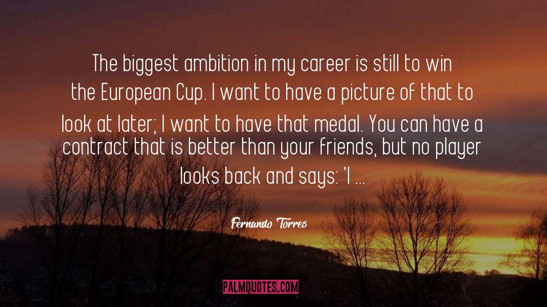 Career Management quotes by Fernando Torres
