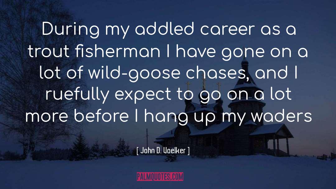 Career quotes by John D. Voelker