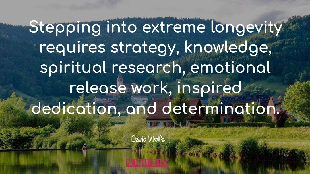 Career Strategy quotes by David Wolfe