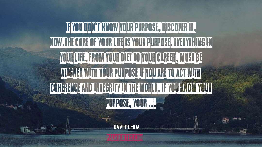 Careers quotes by David Deida