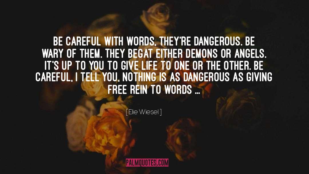 Careful quotes by Elie Wiesel