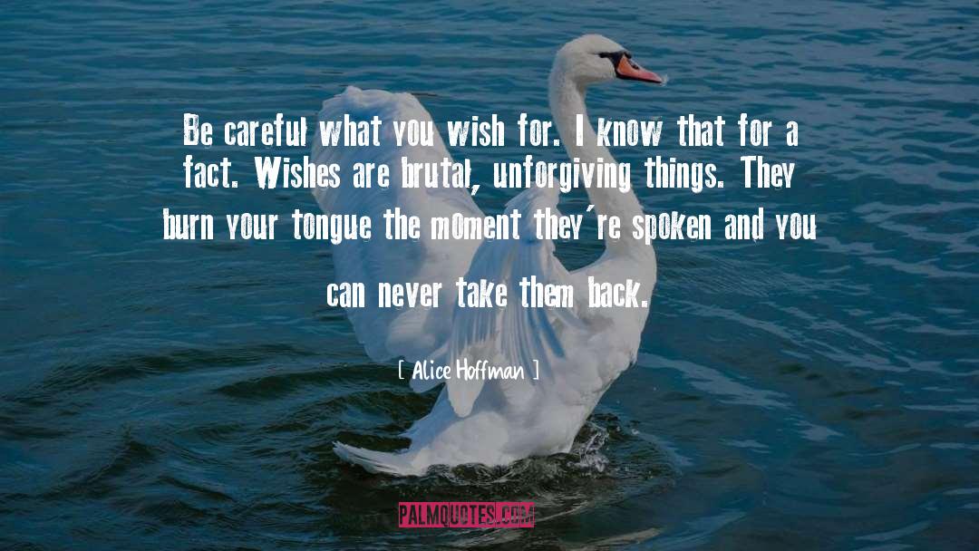 Careful What You Wish For quotes by Alice Hoffman