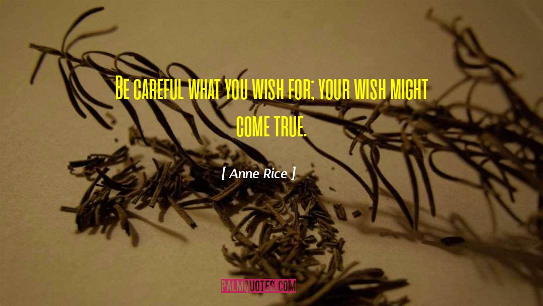 Careful What You Wish For quotes by Anne Rice