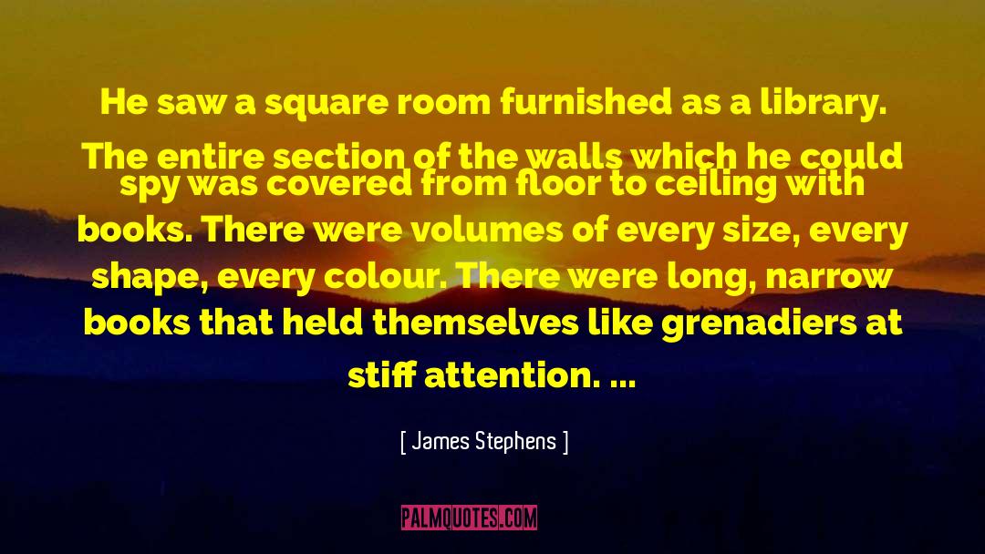 Carelessness quotes by James Stephens