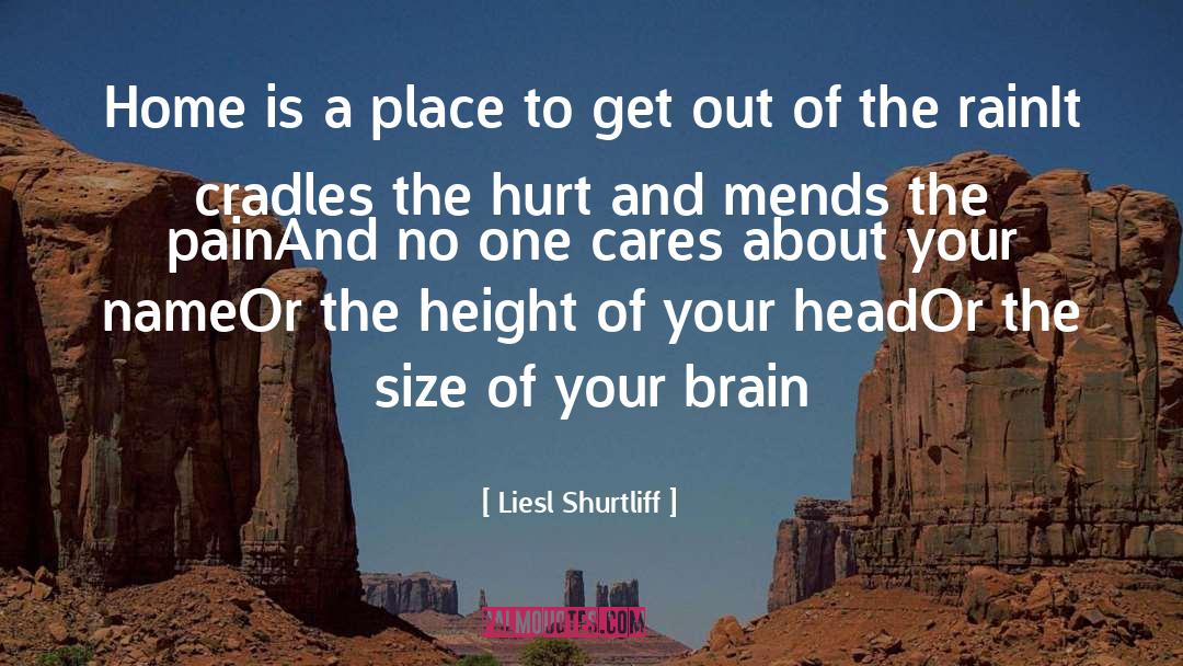Cares quotes by Liesl Shurtliff