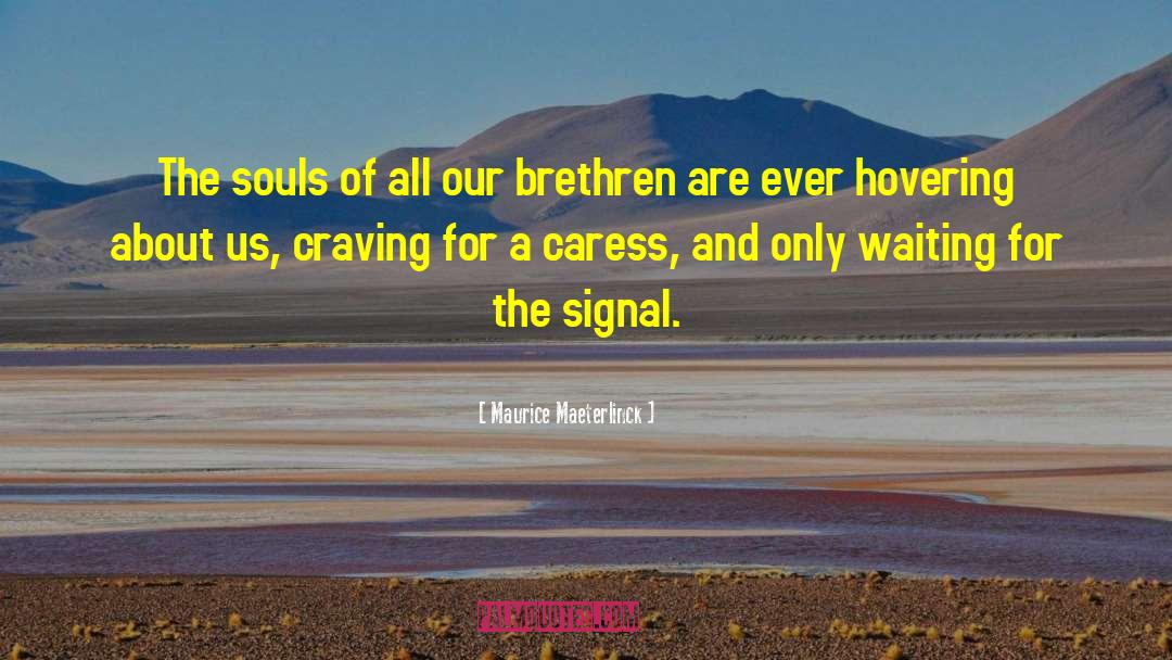 Caress quotes by Maurice Maeterlinck