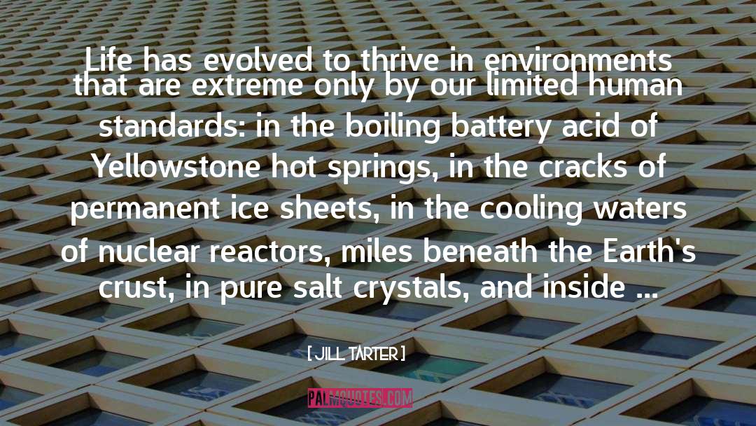 Caressed By Ice quotes by Jill Tarter