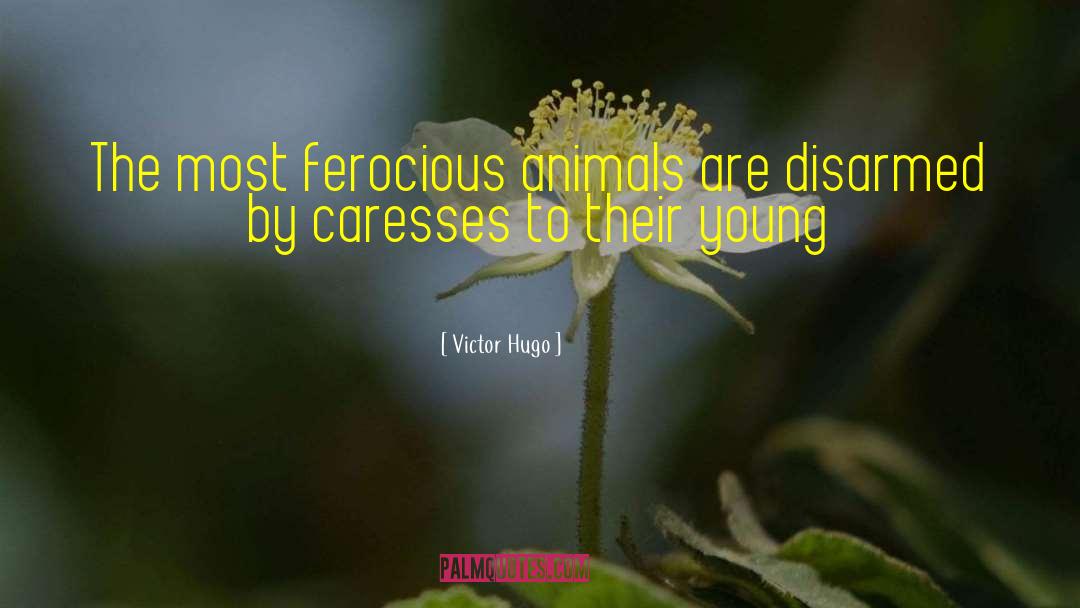 Caresses quotes by Victor Hugo