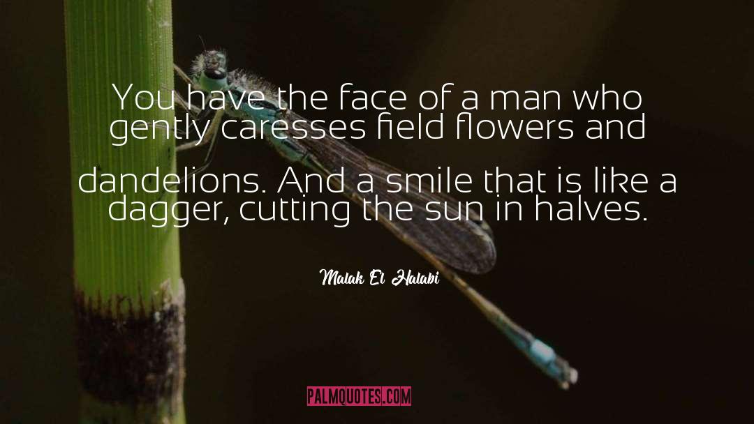 Caresses quotes by Malak El Halabi