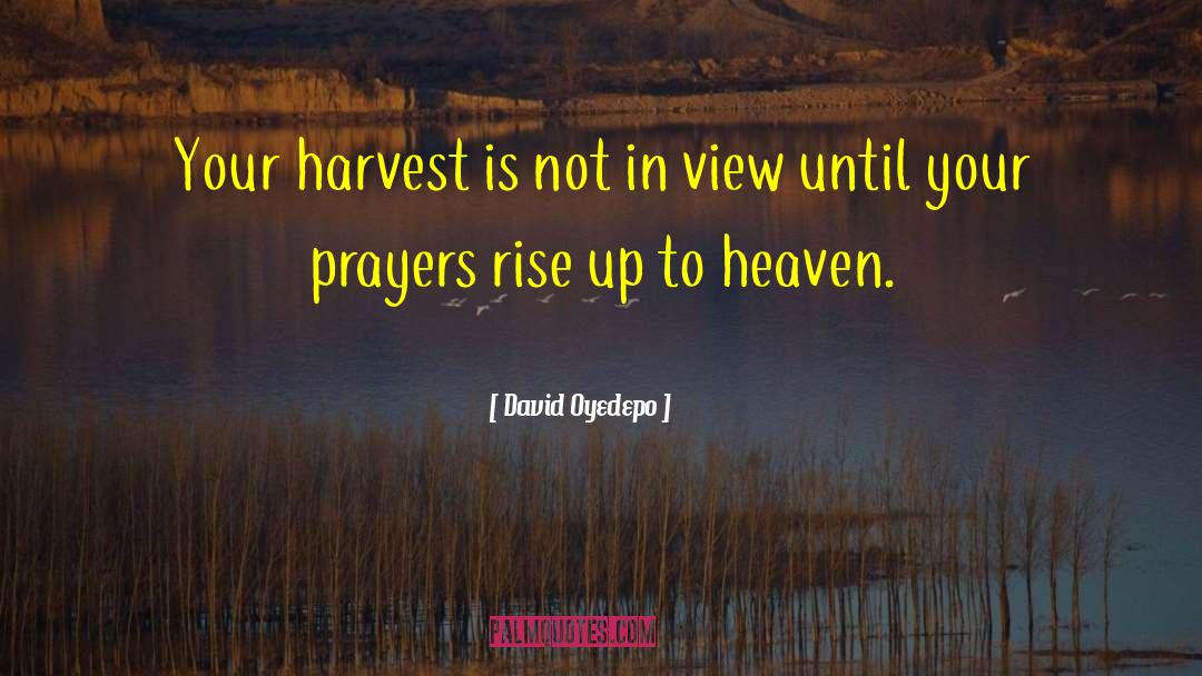 Caring Is Your Prayer quotes by David Oyedepo