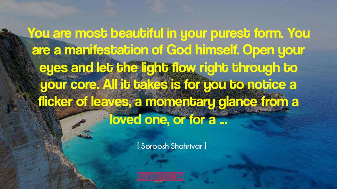 Caring Loved One quotes by Soroosh Shahrivar