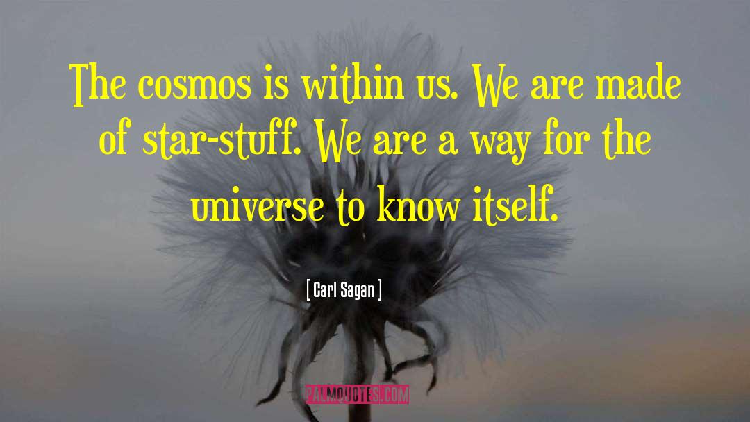 Carl Sagan Stardust quotes by Carl Sagan