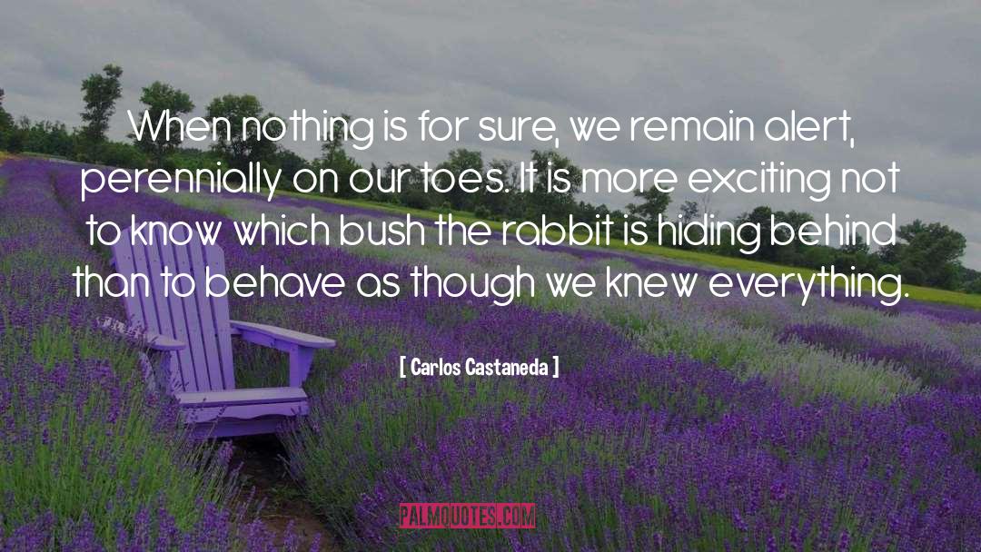 Carlos Castaneda quotes by Carlos Castaneda