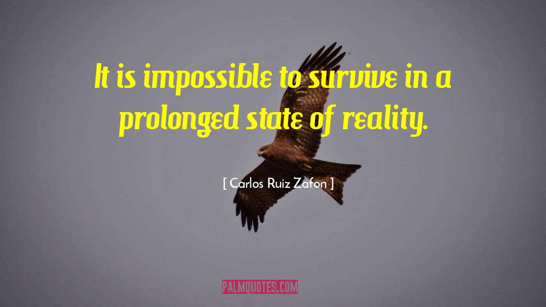 Carlos Kleiber quotes by Carlos Ruiz Zafon