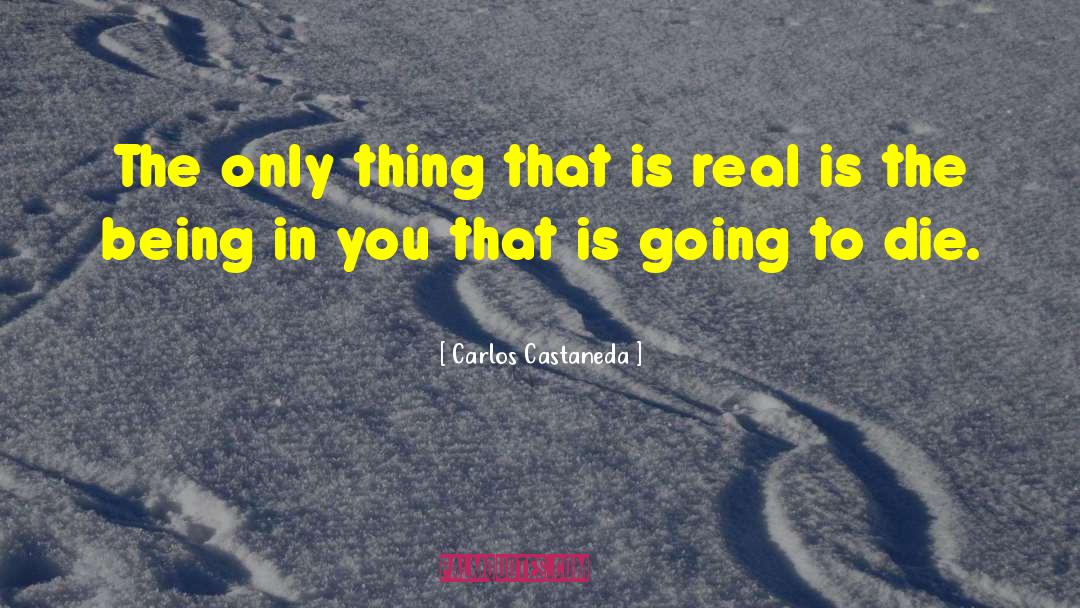 Carlos Steady quotes by Carlos Castaneda