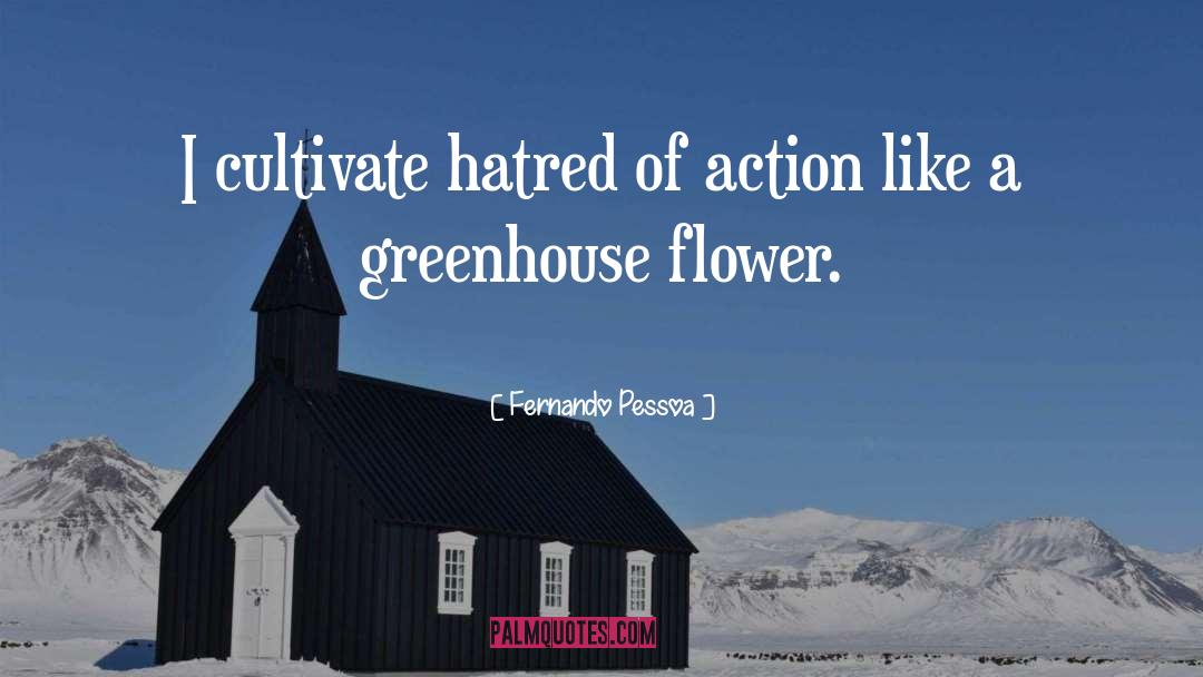 Carlsons Greenhouse quotes by Fernando Pessoa