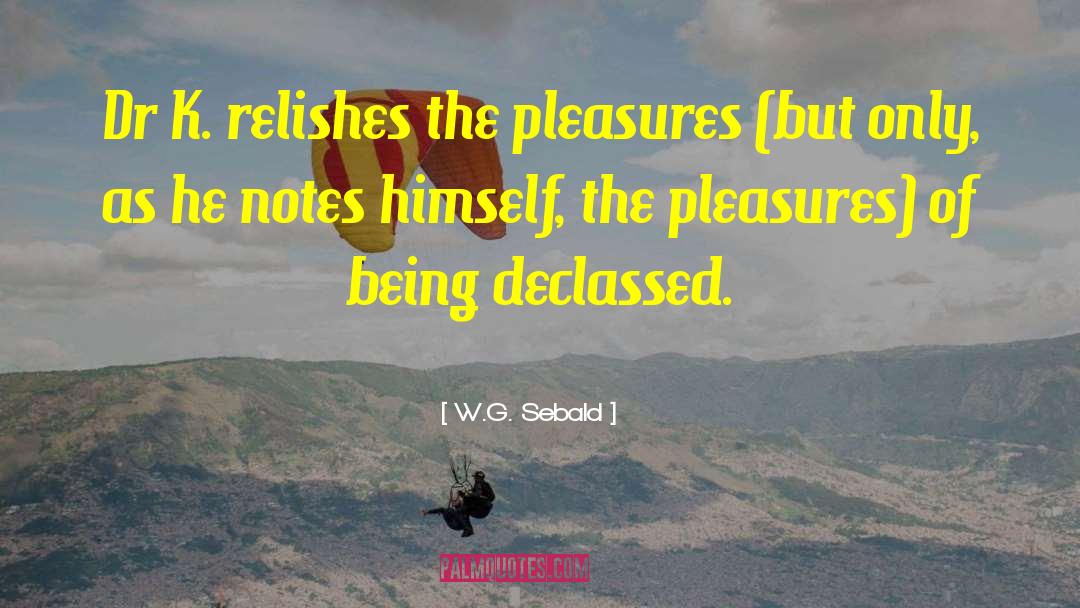 Carnal Pleasures quotes by W.G. Sebald