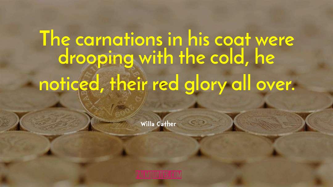 Carnations quotes by Willa Cather