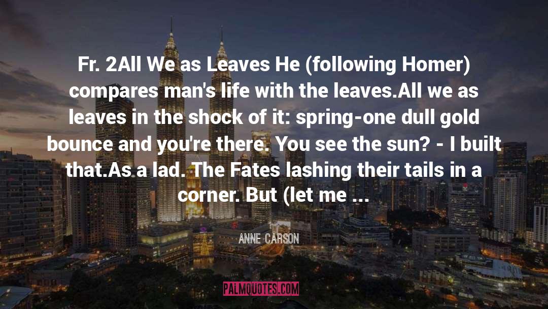 Carnivalesque Chicago quotes by Anne Carson