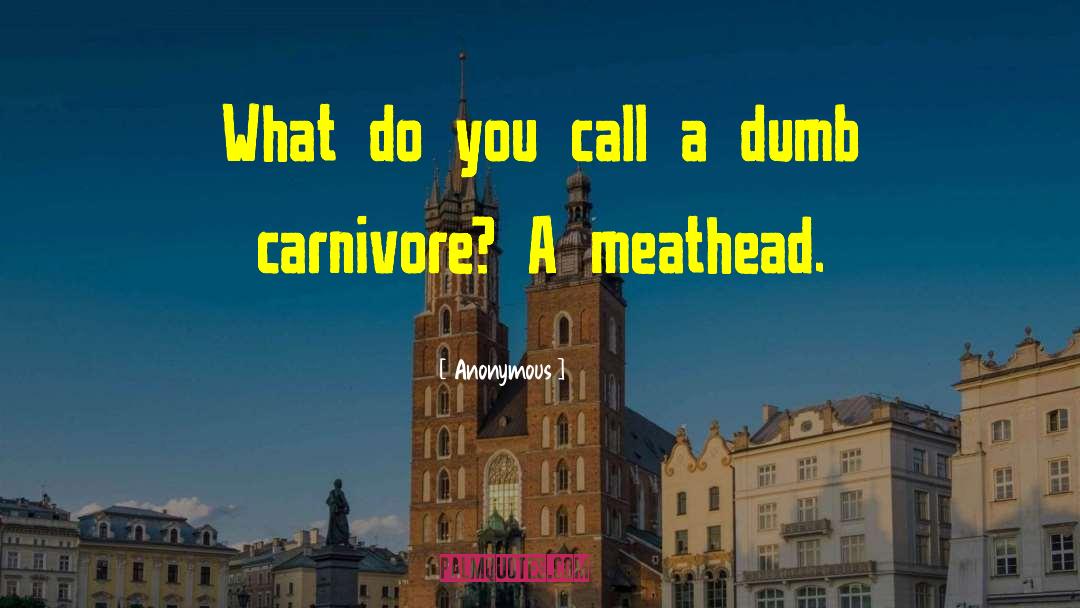 Carnivore quotes by Anonymous