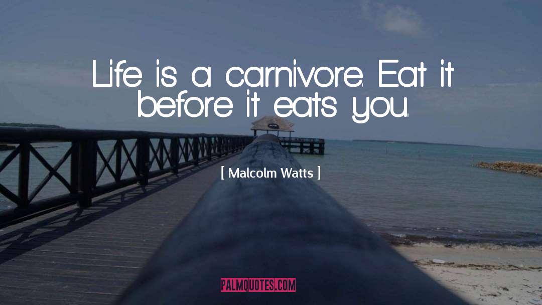 Carnivore quotes by Malcolm Watts