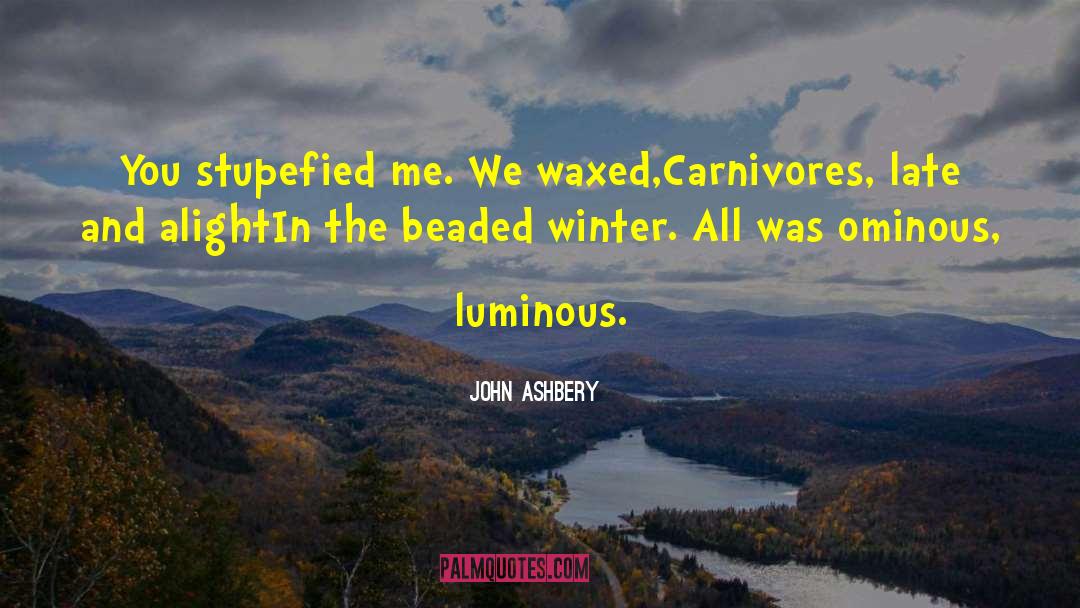 Carnivores quotes by John Ashbery