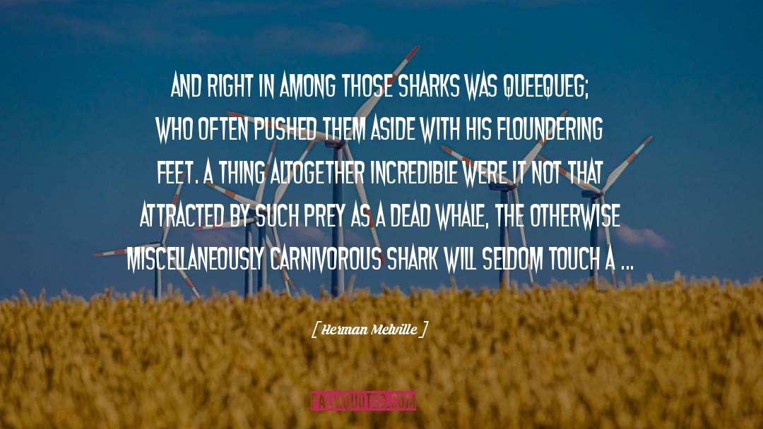 Carnivorous quotes by Herman Melville