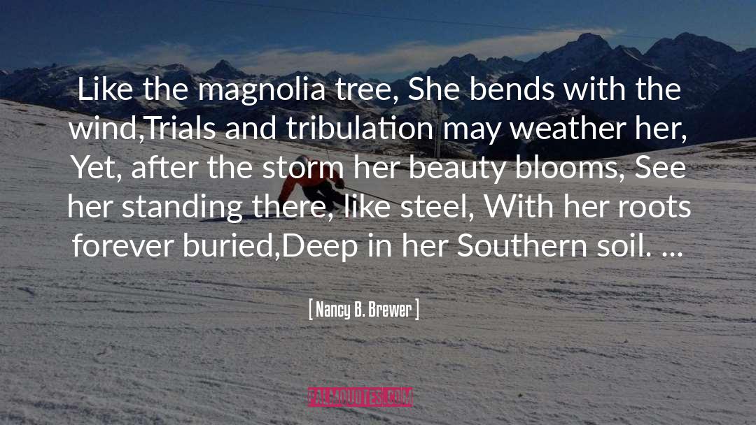 Carolina Rain quotes by Nancy B. Brewer