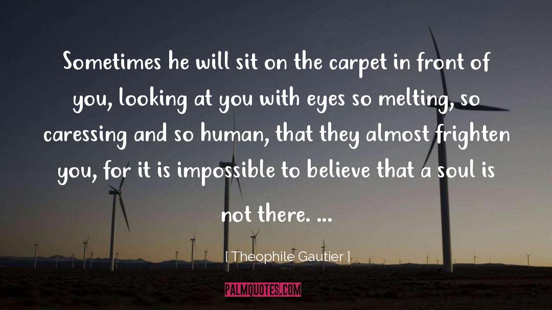 Carpet quotes by Theophile Gautier