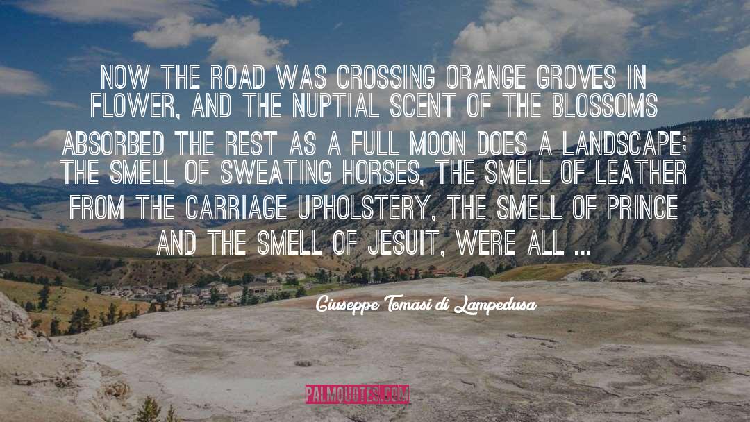 Carriage quotes by Giuseppe Tomasi Di Lampedusa