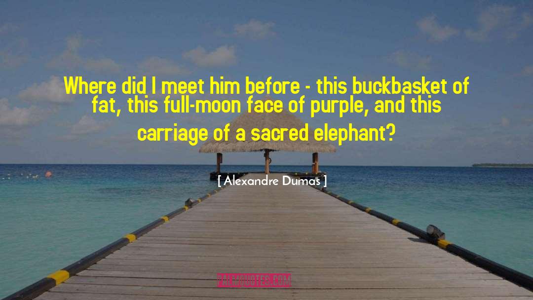 Carriage quotes by Alexandre Dumas