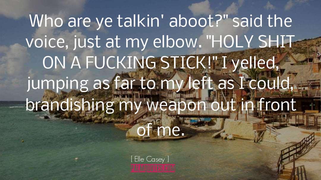 Carrot The Stick quotes by Elle Casey