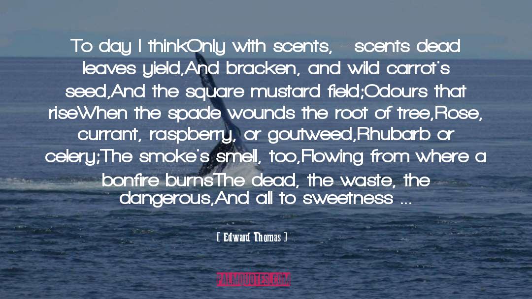 Carrots quotes by Edward Thomas