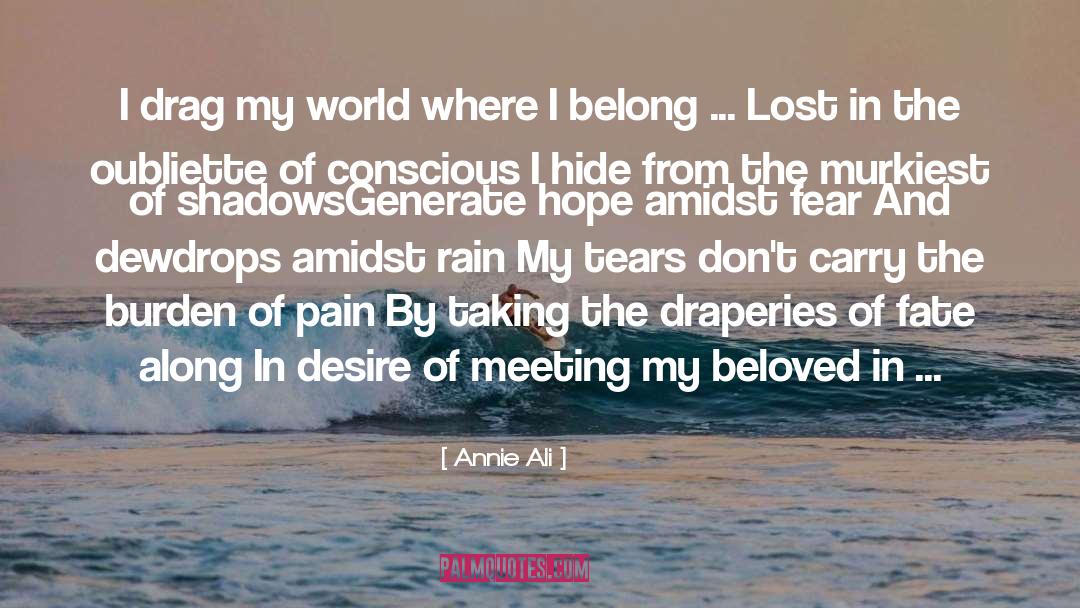 Carry The Burden quotes by Annie Ali