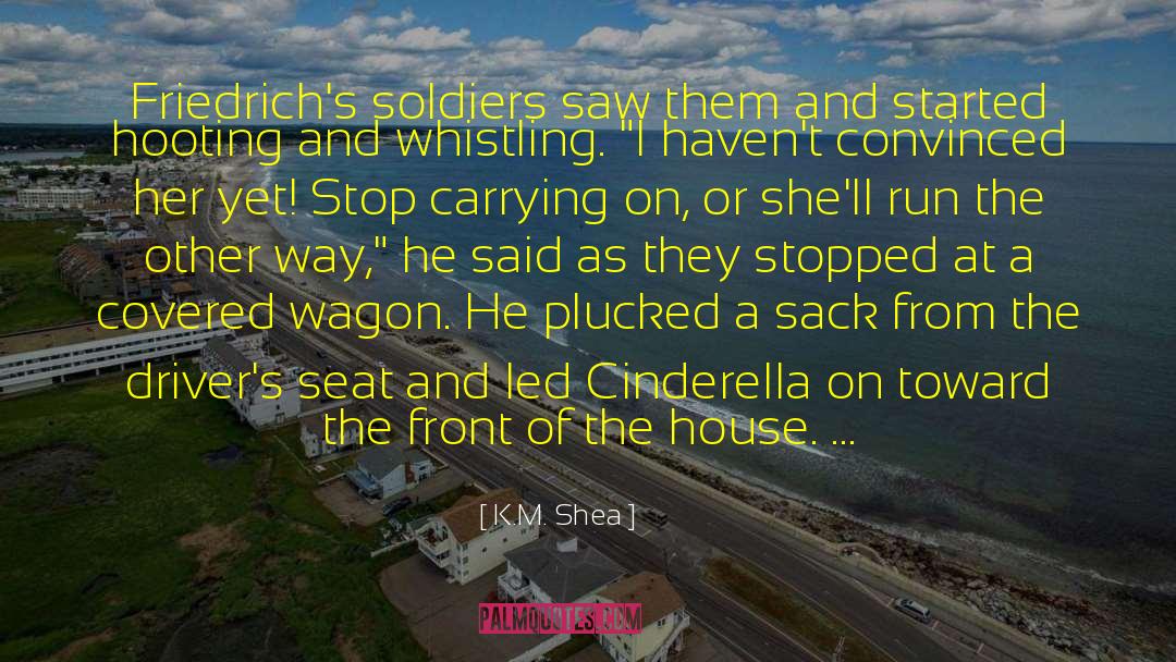 Carrying Guns quotes by K.M. Shea