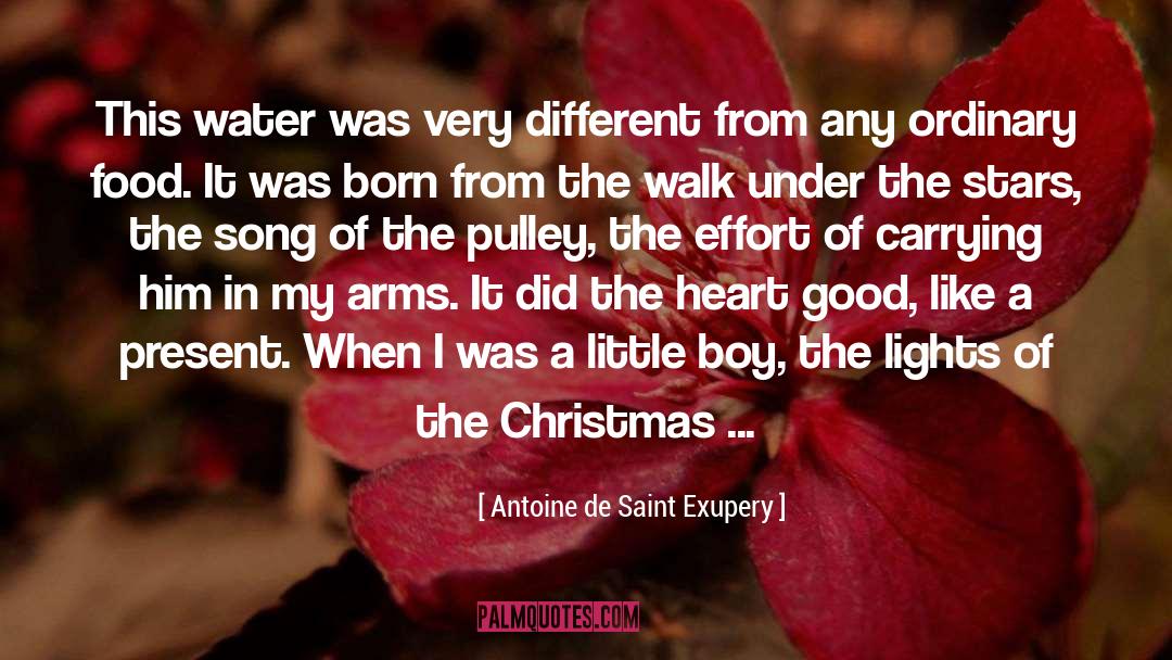 Carrying quotes by Antoine De Saint Exupery