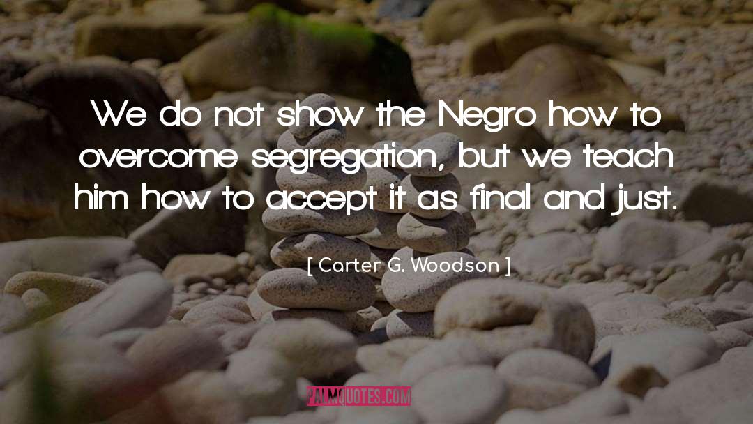 Carter G Woodson quotes by Carter G. Woodson