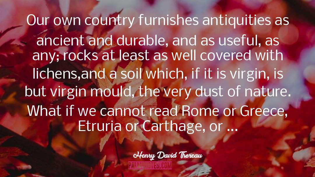 Carthage quotes by Henry David Thoreau