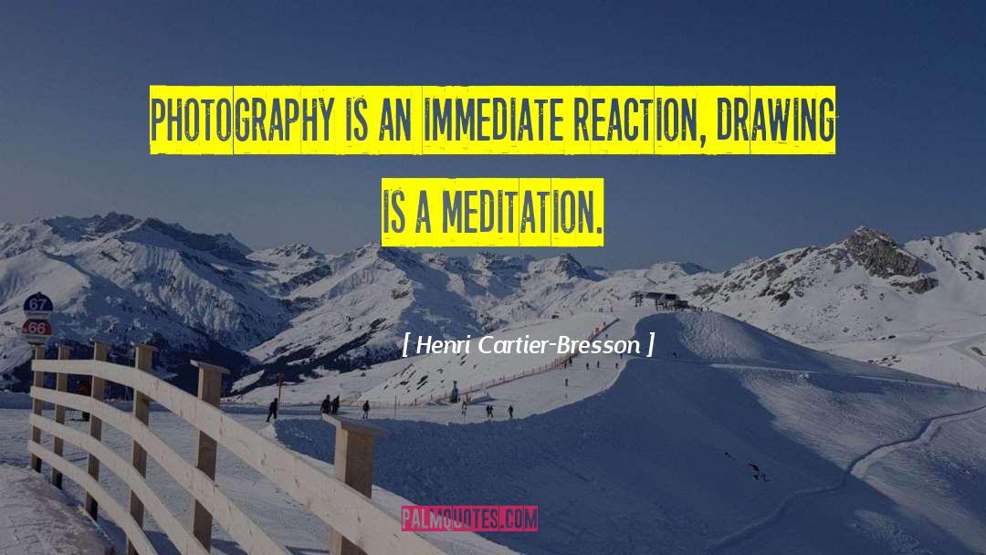 Cartier quotes by Henri Cartier-Bresson