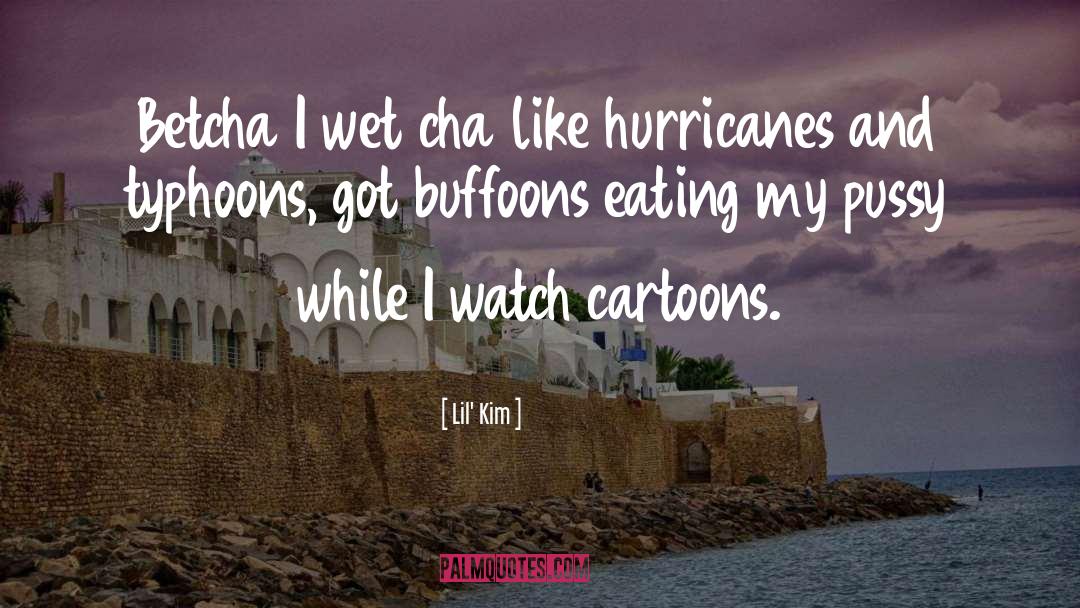 Cartoons quotes by Lil' Kim
