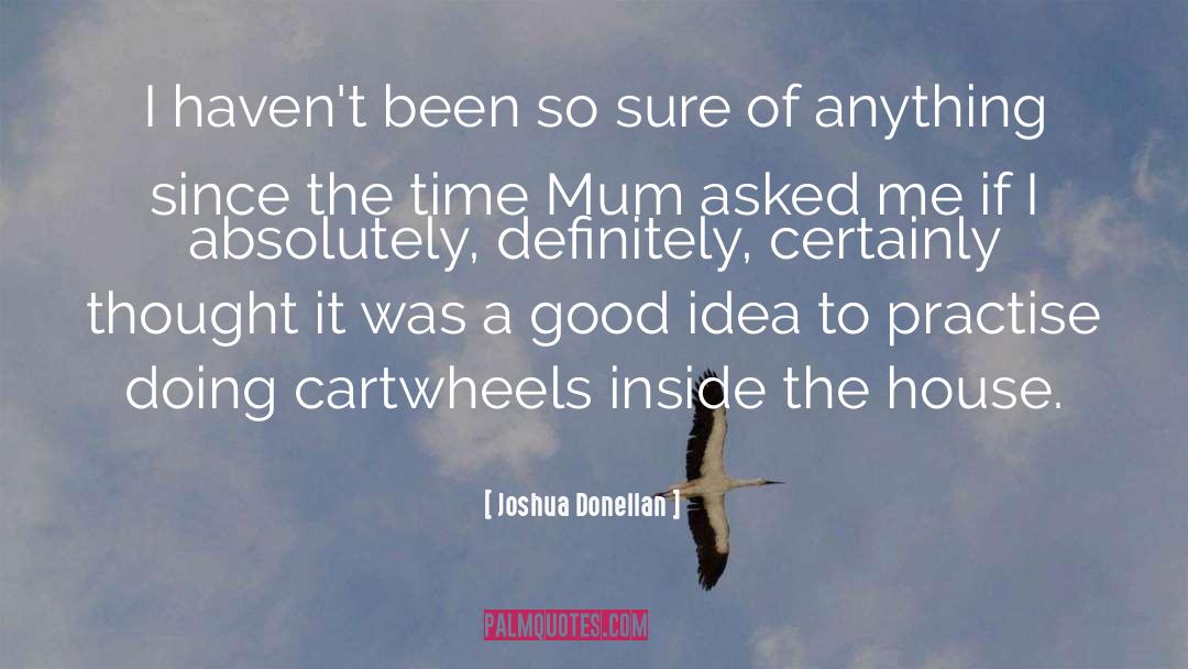 Cartwheels quotes by Joshua Donellan