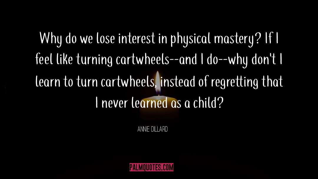 Cartwheels quotes by Annie Dillard