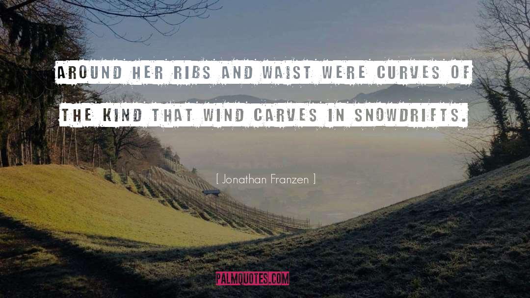 Carves quotes by Jonathan Franzen