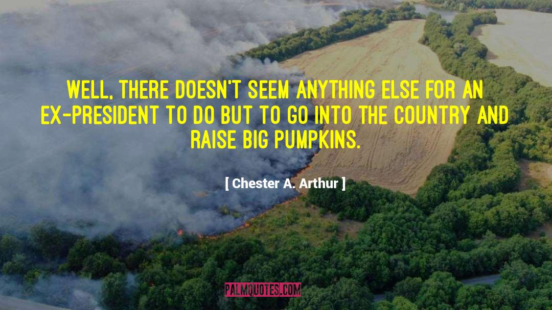 Carving Pumpkins quotes by Chester A. Arthur