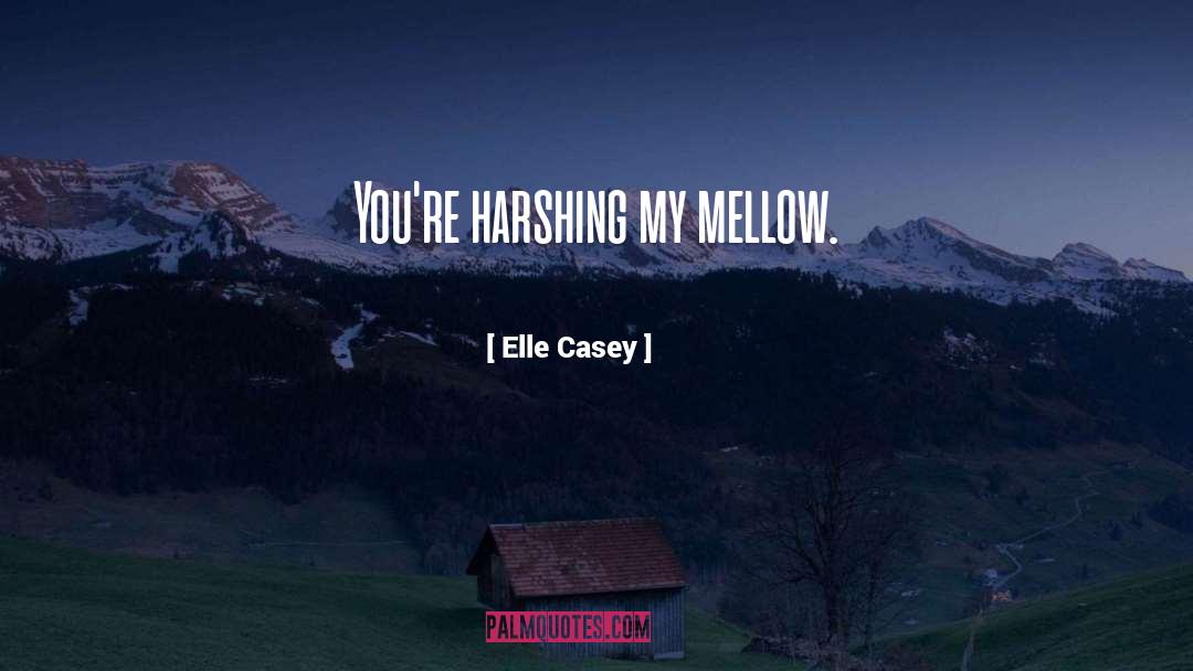 Casey quotes by Elle Casey
