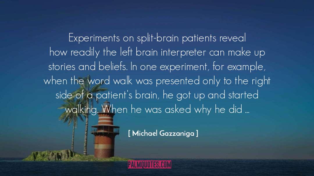 Cashmore Experiment quotes by Michael Gazzaniga